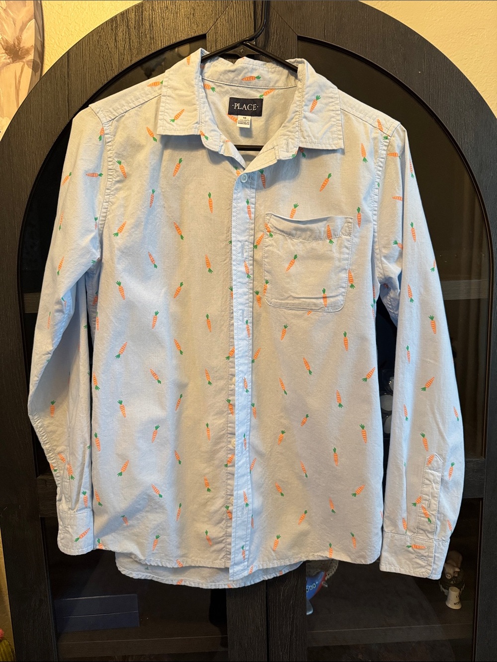 Place Light Blue Shirt with Orange Carrot Print